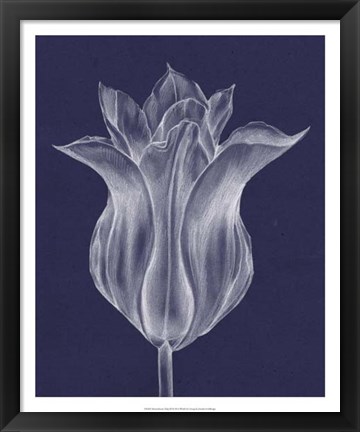 Framed Monochrome Tulip III Print