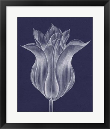 Framed Monochrome Tulip III Print