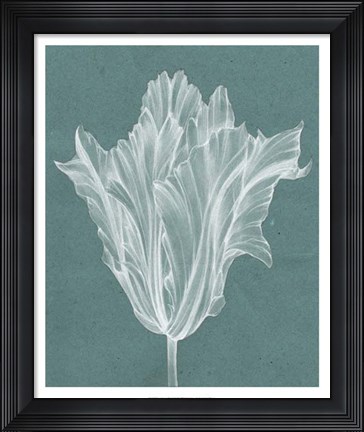 Framed Monochrome Tulip V Print