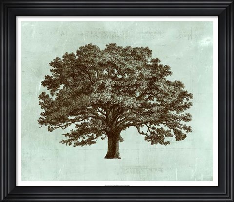 Framed Spa Tree I Print