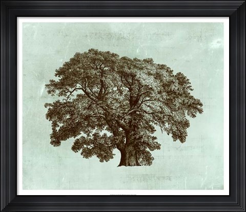 Framed Spa Tree II Print