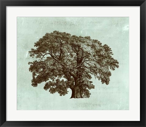 Framed Spa Tree II Print