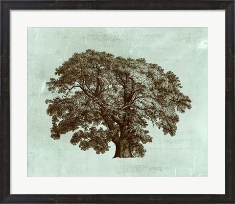 Framed Spa Tree II Print