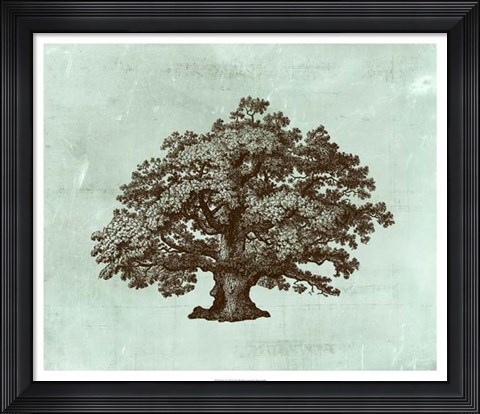 Framed Spa Tree III Print