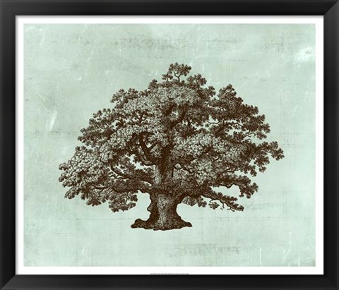 Framed Spa Tree III Print