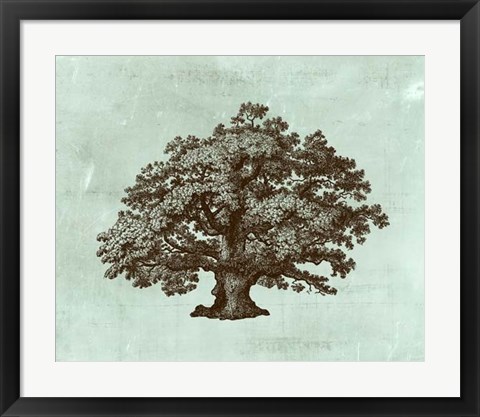 Framed Spa Tree III Print