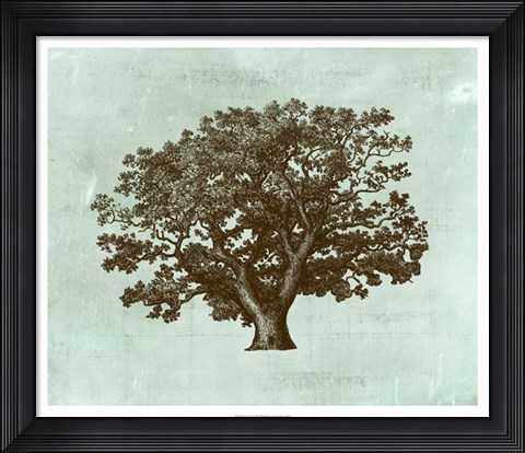 Framed Spa Tree IV Print