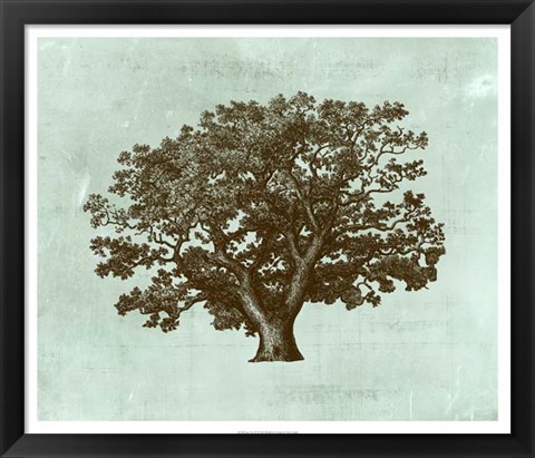 Framed Spa Tree IV Print