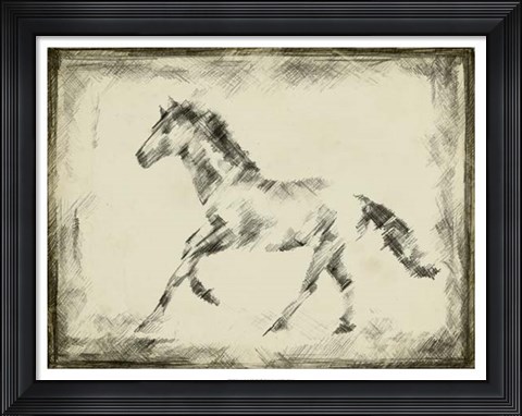 Framed Equine Study II Print