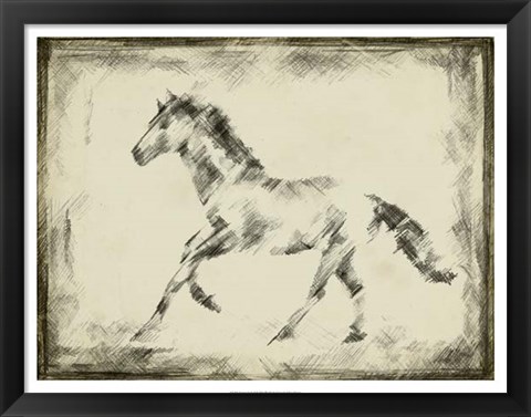 Framed Equine Study II Print