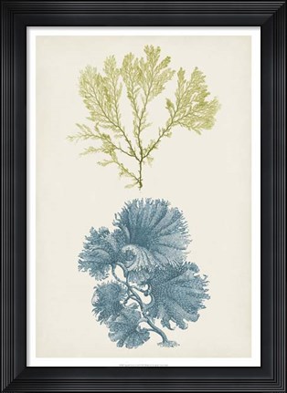Framed Aqua &amp; Citron Coral I Print