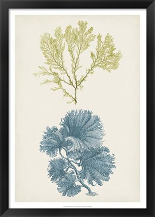 Framed Aqua &amp; Citron Coral I Print