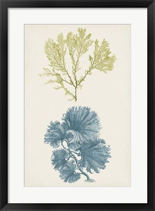Framed Aqua &amp; Citron Coral I Print