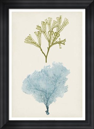 Framed Aqua &amp; Citron Coral II Print