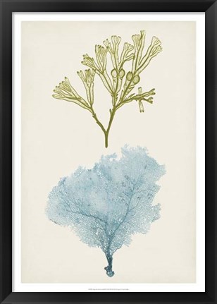 Framed Aqua &amp; Citron Coral II Print