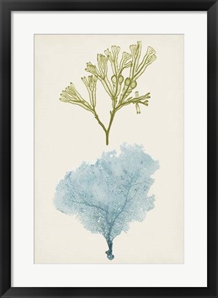 Framed Aqua &amp; Citron Coral II Print