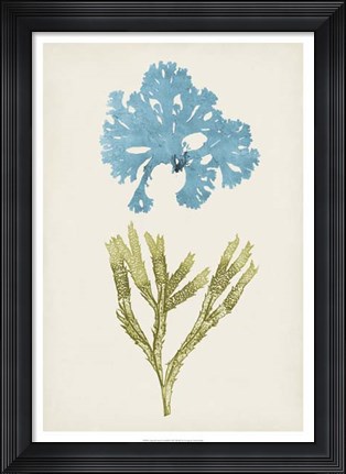 Framed Aqua &amp; Citron Coral III Print