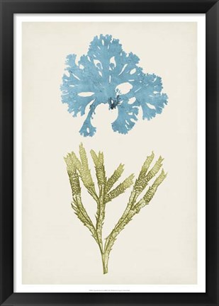 Framed Aqua &amp; Citron Coral III Print