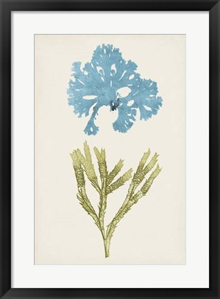 Framed Aqua &amp; Citron Coral III Print