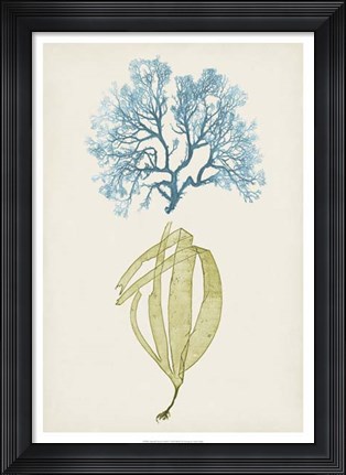 Framed Aqua &amp; Citron Coral IV Print