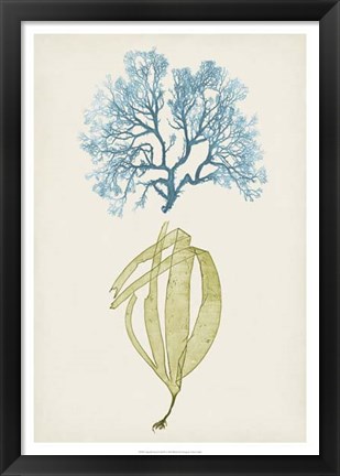 Framed Aqua &amp; Citron Coral IV Print