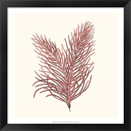 Framed Seaweed Collection II Print