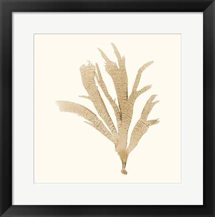 Framed Seaweed Collection IV Print