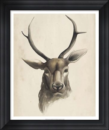 Framed Watercolor Animal Study I Print
