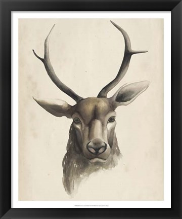 Framed Watercolor Animal Study I Print