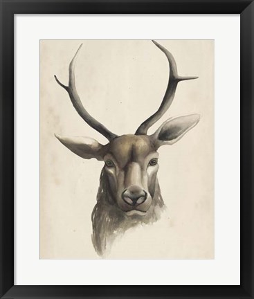 Framed Watercolor Animal Study I Print