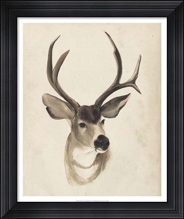 Framed Watercolor Animal Study II Print