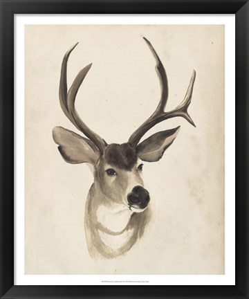 Framed Watercolor Animal Study II Print