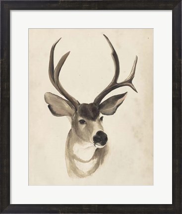 Framed Watercolor Animal Study II Print