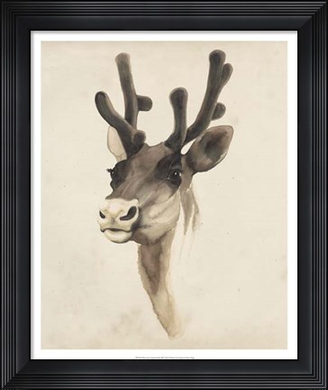 Framed Watercolor Animal Study III Print