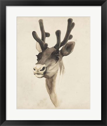 Framed Watercolor Animal Study III Print