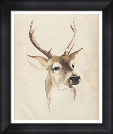 Framed Watercolor Animal Study IV Print