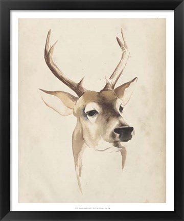 Framed Watercolor Animal Study IV Print