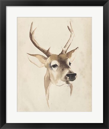 Framed Watercolor Animal Study IV Print