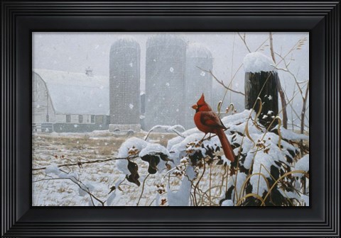 Framed Flaming Glory Print