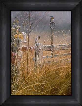 Framed Autumn Mist Print