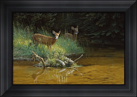 Framed Fawn Brook Print