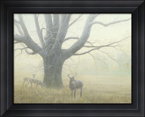 Framed Winter Mist Print