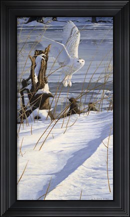 Framed Great White Hunter Print