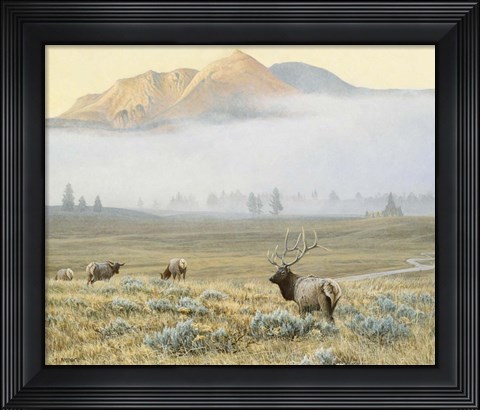 Framed Autumn Elk Print