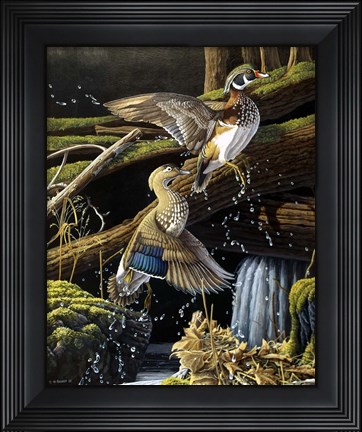 Framed Hidden Pool Print