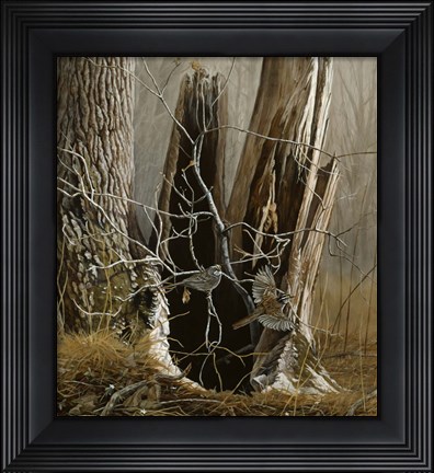 Framed White Throated Sparrows Print
