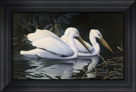 Framed Pelicans Print