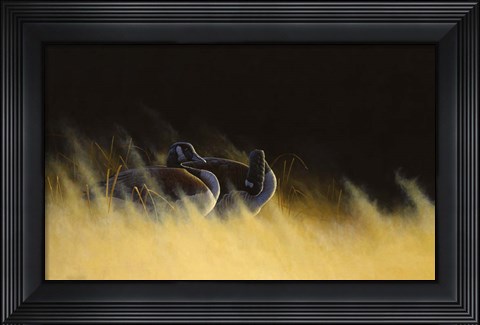 Framed Morning Solitude Print