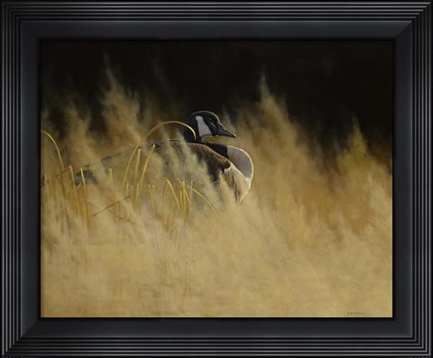 Framed Misty Morning Sentinal Print