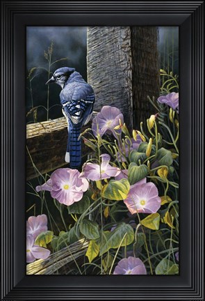 Framed Morning Glories Print